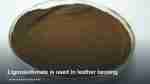 Lignosulfonate is used in leather tanning